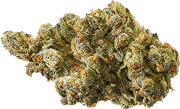 Blue Haze